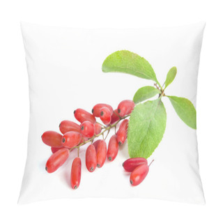 Personality  Ripe Barberries  Isolated On White Background Pillow Covers