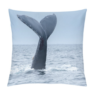 Personality  Humpback Whale In Puerto Lopez, Ecuador Pillow Covers