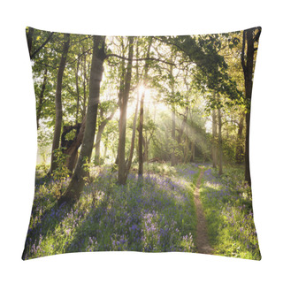 Personality  Enchanting Bluebell Woodland Path And Sunrise Pillow Covers