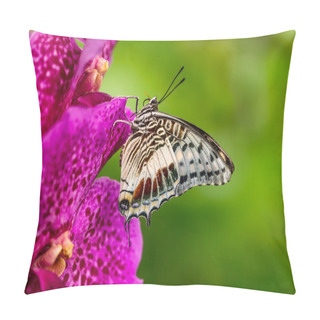 Personality  Closeup Butterfly On Flower Blossom Pillow Covers