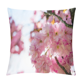 Personality  Close Up View Of Pink Flowers On Branches Of Cherry Blossom Tree  Pillow Covers