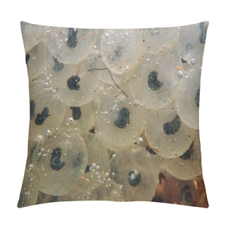 Personality  Underwater Photo Of Frog Spawn Frog Eggs Pillow Covers