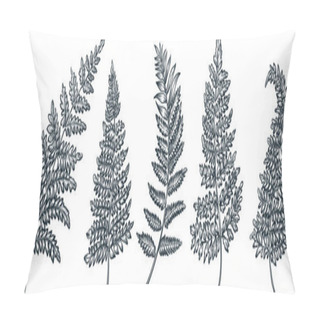 Personality  Fern Leaves Set, Vector Doodle Sketch Illustration. Hand Drawn Floral Nature Vintage Design Elements. Garden Tropical Plant Isolated On White Background Pillow Covers