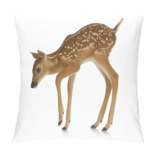 Personality  Fawn Pillow Covers