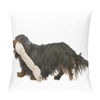 Personality  Dachshund Isolated On White With A Huge White Bone Pillow Covers