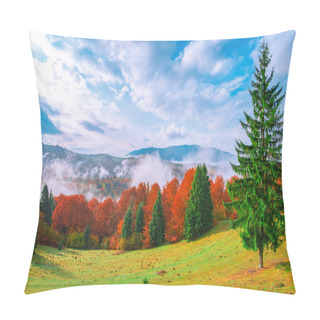 Personality  View Of Mountain Forest Sunrise With Dramatic Cloudy Sky On Background. Beautiful Landscape With Coniferous Trees On Hillside Meadow. Concept Of Nature. Pillow Covers