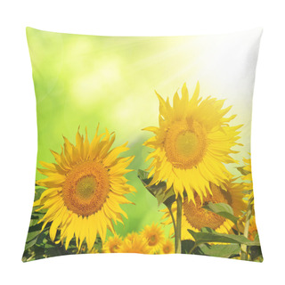 Personality  Sunflower Field Close Up Pillow Covers