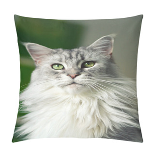 Personality  Maine Coon Cat Pillow Covers