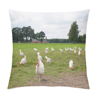 Personality  Biological Chicken Pillow Covers