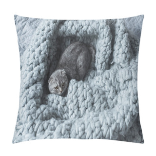 Personality  Cat On Wool Blanket Pillow Covers