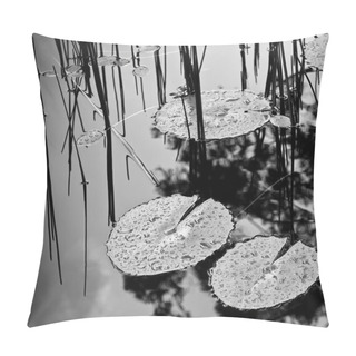 Personality  Lilly Pad Pond Pillow Covers