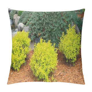Personality  Gold Mound Spirea Landscaping Shrubs Pillow Covers