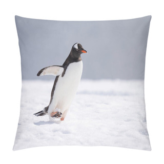 Personality  Gentoo Penguin Walks Across Snow Extending Flipper Pillow Covers