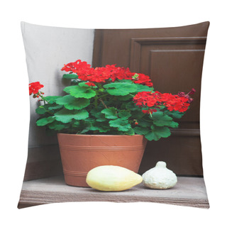 Personality  Pot With  Geranium Flowers Pillow Covers