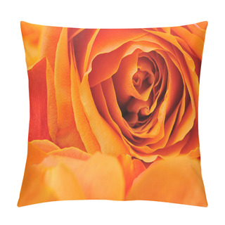 Personality  Rose Background Pillow Covers