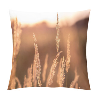 Personality  Summer Meadow In Sunset Light Pillow Covers