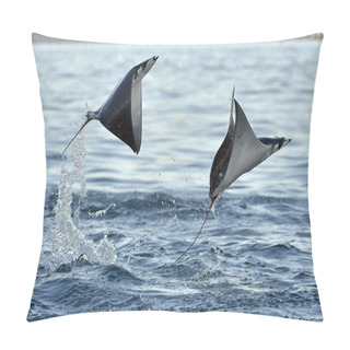 Personality  Mobula Rays Jumping Out Of The Water  Pillow Covers