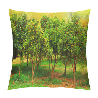 Personality  Mandarin Trees Pillow Covers