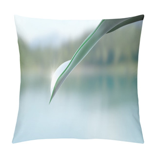 Personality  Drop And Leaf In Widescreen Pillow Covers