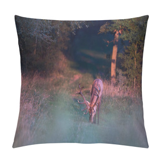 Personality  Red Deer Grazing In Forest In Morning. Wildlife In Natural Habitat Pillow Covers