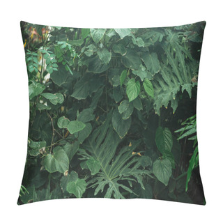 Personality  Green Exotic Different Leaves In Botanical Garden Pillow Covers
