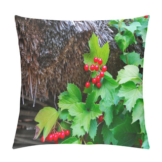 Personality  Branch Of Arrow-wood Near Thatched Roof Pillow Covers