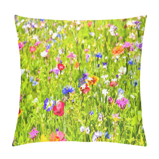 Personality  Beautiful Blossoming Meadow With Colorful Wildflowers Pillow Covers