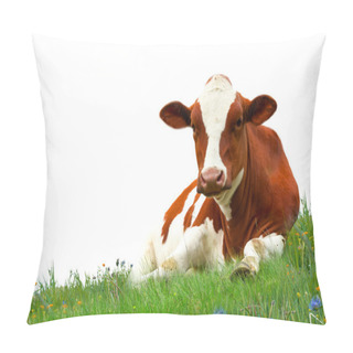 Personality  Cow On Grass Pillow Covers