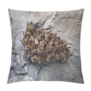 Personality  Bat Colony In Cave  Pillow Covers