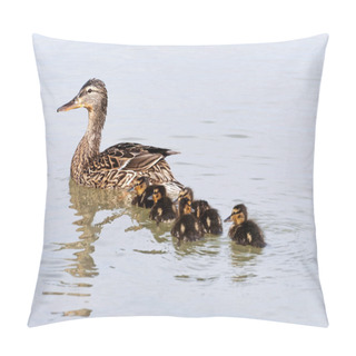 Personality  Wild Duck And Her Ducklings Pillow Covers
