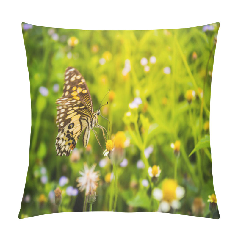 Personality  Butterfly on a flower in nature pillow covers