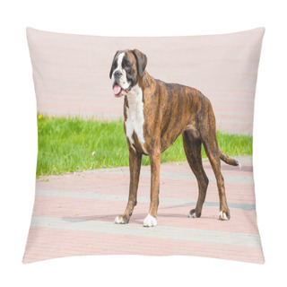 Personality  German Boxer Tiger Colored Profile. Pillow Covers