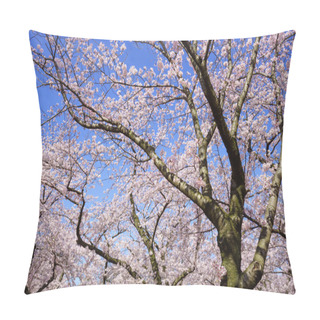 Personality  Cherry Blossom (sakura) On Blue Sky, Japan Pillow Covers