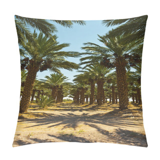 Personality  Date Palms Pillow Covers