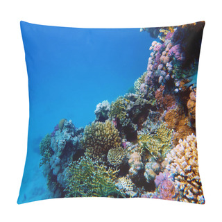 Personality  Underwater Scenes With Corals In Red Sea Pillow Covers