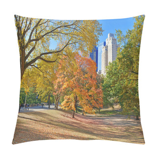 Personality  Autumn Color: Fall Foliage In Central Park, Manhattan New York Pillow Covers