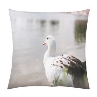 Personality  Close Up View Of Andean Goose Sitting Near Water Surface At Zoo  Pillow Covers