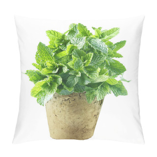 Personality  Fresh Mint Growing In A Flowerpot To Ensure The Freshest Ingredients In The Kitchen For Cooking And Garnish Pillow Covers