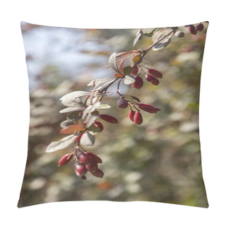Personality  Berberis Thunbergii Branch With Red Tiny Oval Fruits And Leaves Pillow Covers