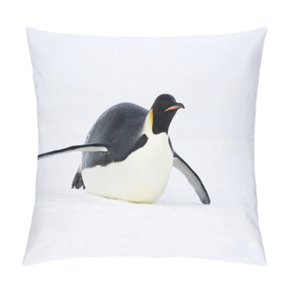 Personality  Emperor Penguin Pillow Covers
