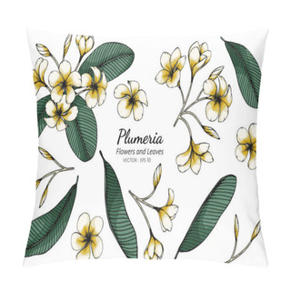 Personality  Set Of Plumeria Flower And Leaf Drawing Illustration With Line Art On White Backgrounds. Pillow Covers