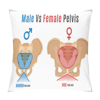 Personality  Female Male Pelvis-09 Pillow Covers