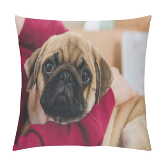 Personality  Close-up View Of Woman Playing With Cute Pug Dog Pillow Covers