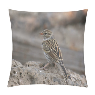 Personality  Brewer's Sparrow (spizella Breweri) Pillow Covers