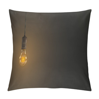 Personality  Vintage Hanging Light Bulb Over Dark Background Pillow Covers
