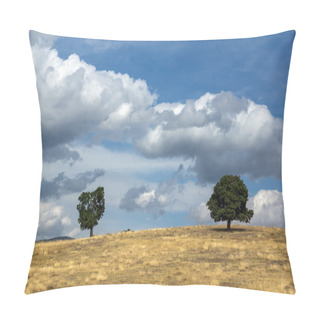 Personality  Amazing View Of Green Landscape Of Ograzhden Mountain Pillow Covers