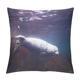 Personality  Seal Animal In Sea Water  Pillow Covers