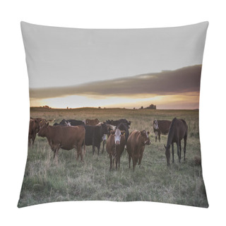 Personality  Dairy Cows At Countryside Pillow Covers