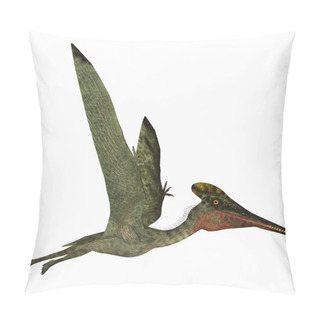 Personality  Pterodactylus Side Profile Pillow Covers