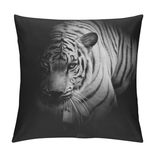 Personality  White Tiger Isolated On Black Background Pillow Covers